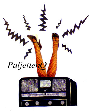 Radio 2008 PaljettenQ